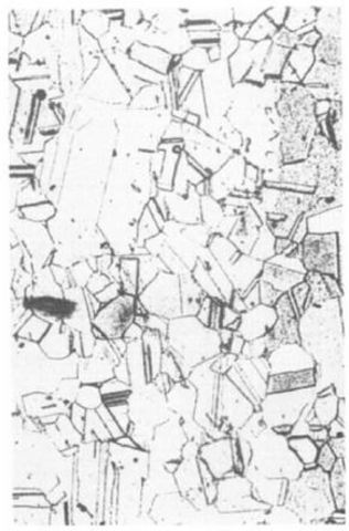 Tomota, Mori, Kuroki e Tamura.