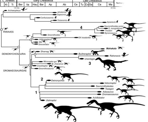 EVOLUCIÓN DE LOS DINOSAURIOS