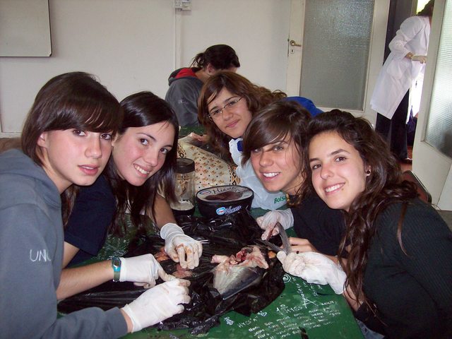 Taller de Recursos Naturales