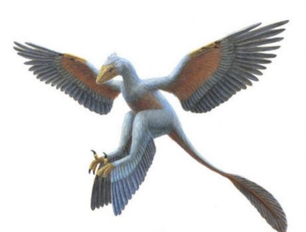MICRORAPTOR