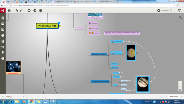 Aplicación de nuevas TIC