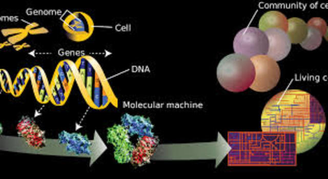 El inicio del proyecto genoma humano