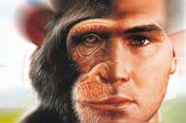 SECUENCIA GENOMA CHIMPANCÉ