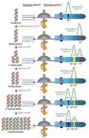 Experimento de Meselson y Stahl