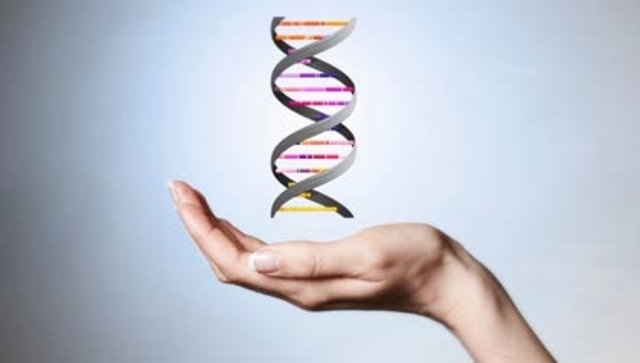 Experimento de clonacion