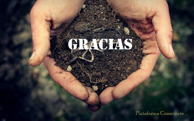 GRACIAS