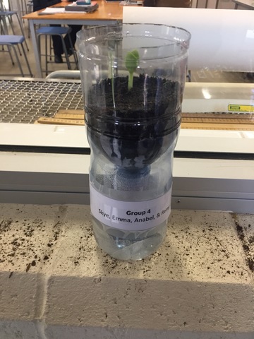 week 1 progress of the propagator