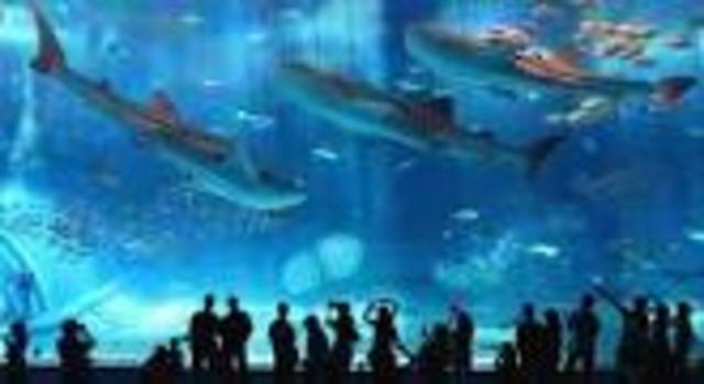 My visit to the Aquarioum