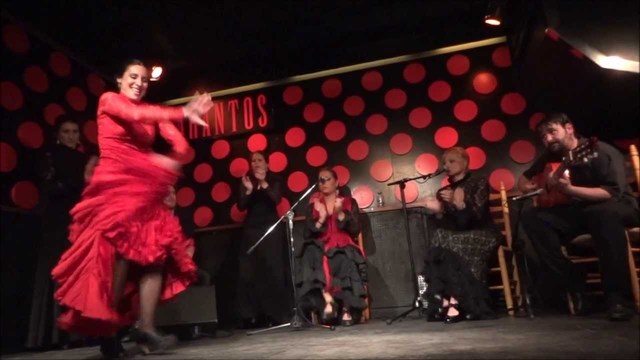 Flamenco show