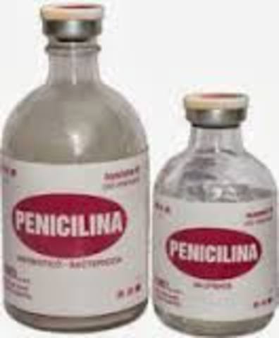 LA PENICILINA
