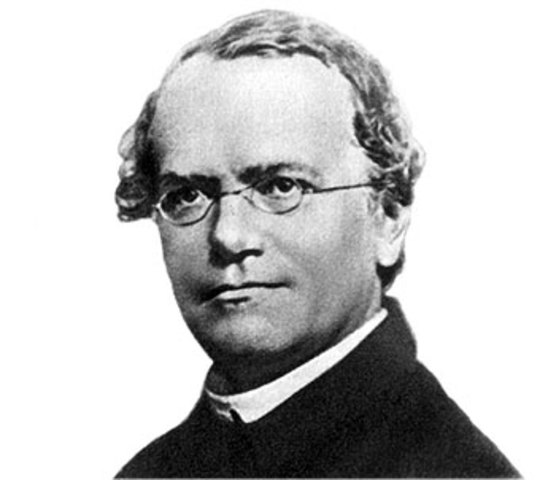 trabajo de Gregorio Mendel