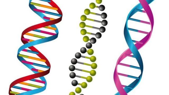 James D. Watson y Francis Crick
