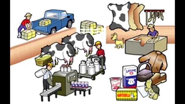 La industrializacion