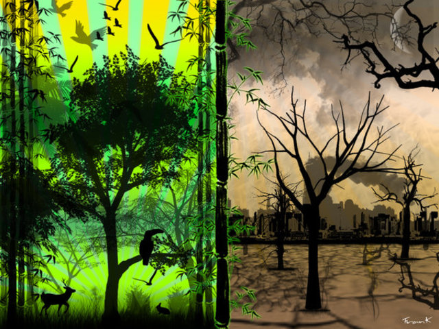 CONTAMINACIÓN AMBIENTAL