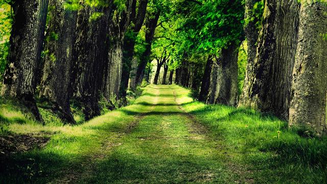 Presentación de personajes