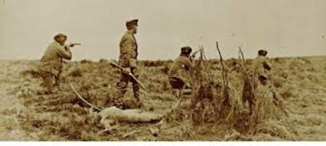 La explotacion ganadera