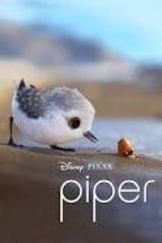 Piper