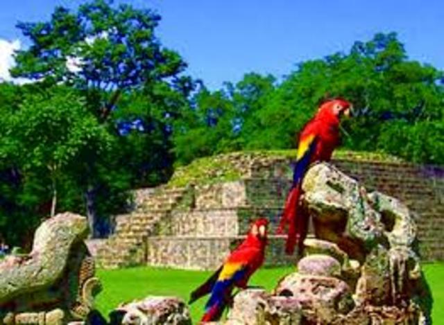 Decrecimiento por crisis económica Mundial