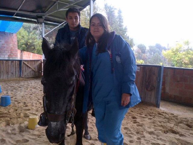 equino terapia