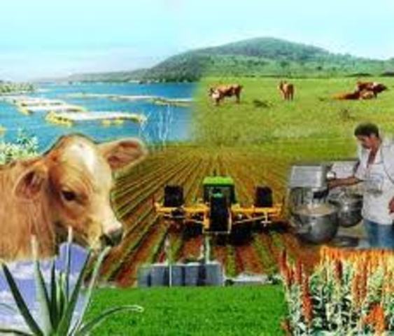 Oct 31, 1995 Programa Alianza para el campo (PAC)