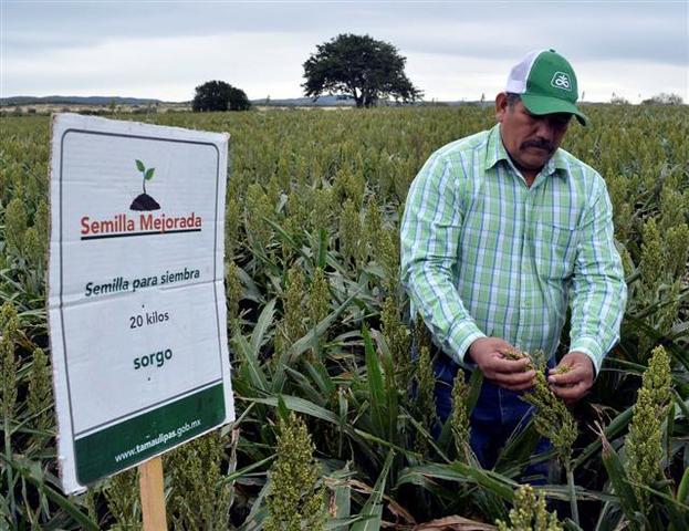 Nov 1, 1995 Programa de apoyos directos y productivos al campo (Produce)