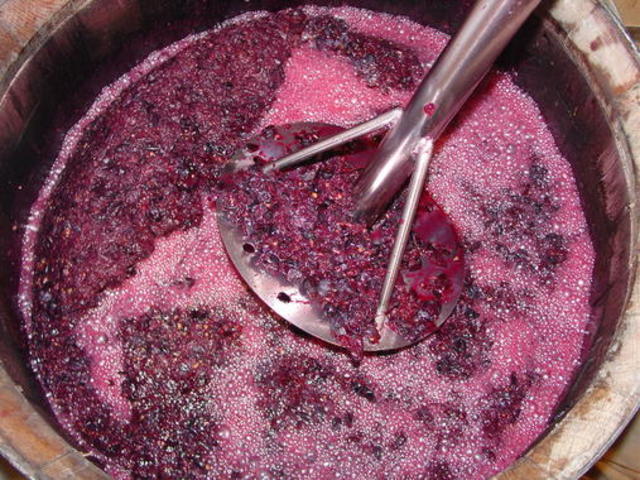 ¡Eureka, fermentación!