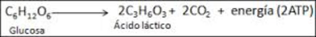 Ecuación de la fermentación alcohólica.