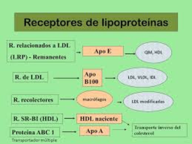 Regulación del metabolismo del colesterol