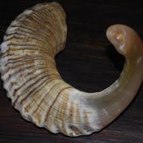 500.000 a.c. aproximadamente