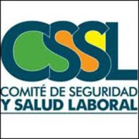 RESOLUCIÓN 02013 DE 1986:Por la cual se reglamenta la organización y funcionamiento de los Comtés de Medicina, Higiene y Seguridad Industrial en los lugares de trabajo  Los Ministros de Trabajo y Seguridad Social y de Salud .