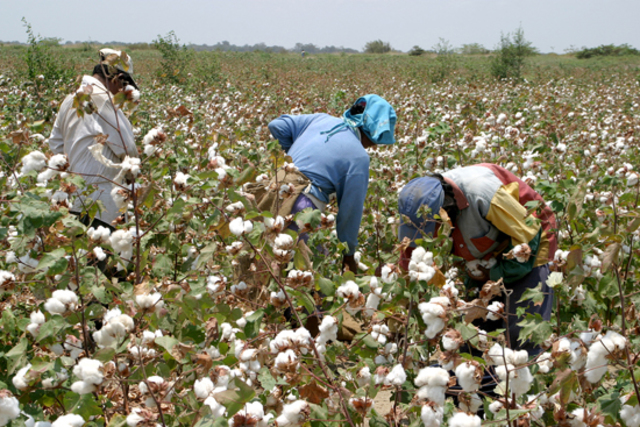 1819, 1825, 1831 The pieces of legislation were intended to fortify the 1802 Act