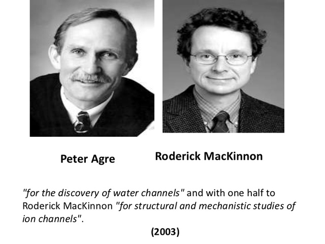 Descubrimiento de canales en las membranas celulares