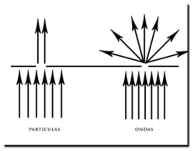 Thomas Young, Onda-Partícula
