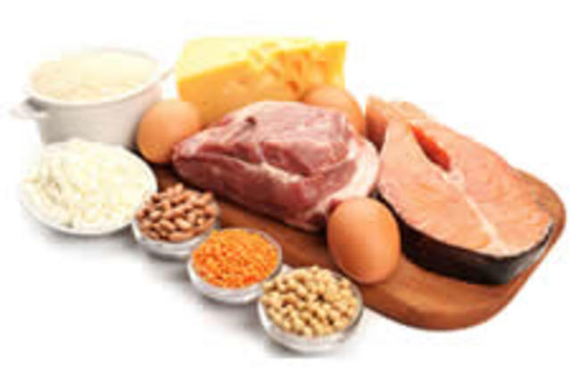 Proteinas, Carbohidratos, Grasas y Agua.