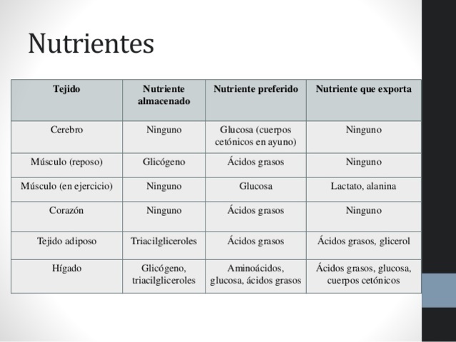 Cuatro son las Funciones Específicas del Metabolismo