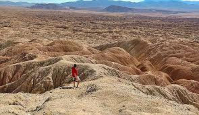 Anza-Borrego, California