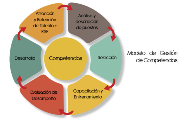 MODELO DE GESTIÓN HUMANA POR COMPETENCIAS