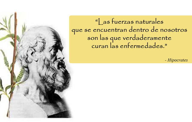 Hipócrates
