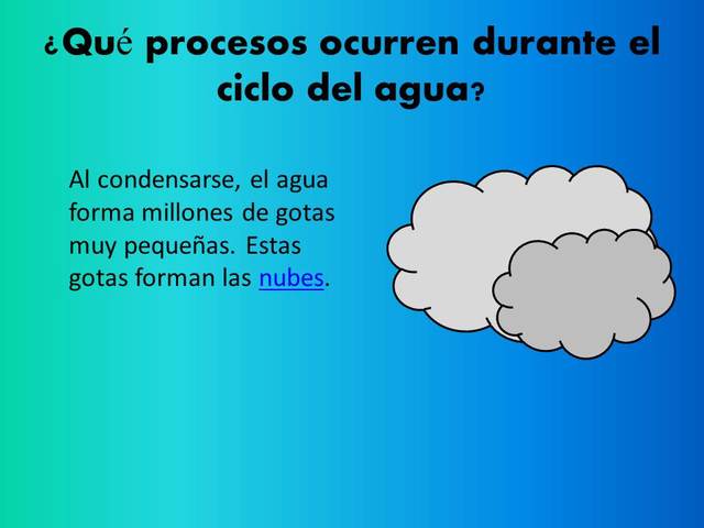 ¿Qué procesos ocurren durante el ciclo del agua?