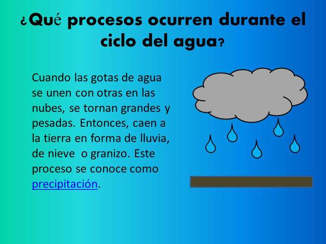 ¿Qué procesos ocurren durante el ciclo del agua?