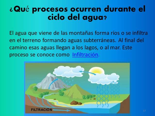 ¿Qué procesos ocurren durante el ciclo del agua?