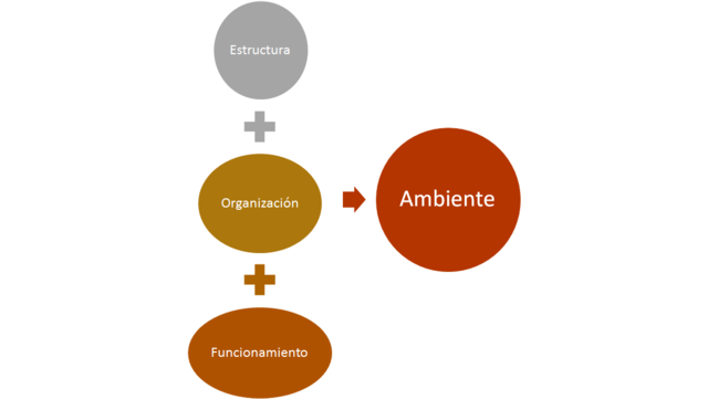 ESTRUCTURA MODELO DE CONTINGENCIAS