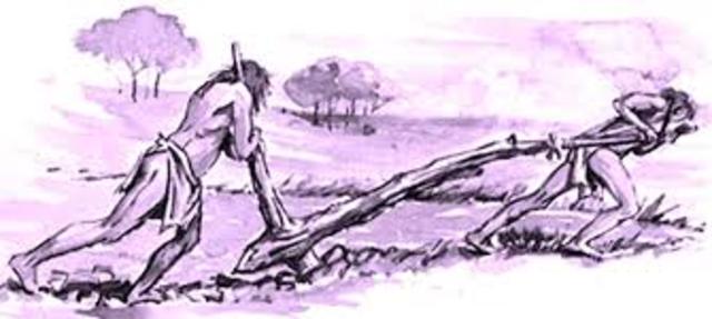 El hombre domestica cultivos y ganado. Se cultivan papas con fines alimentarios.