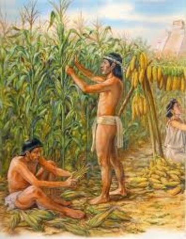 Los babilónicos celebraban con ritos religiosos la polinización de las palmeras