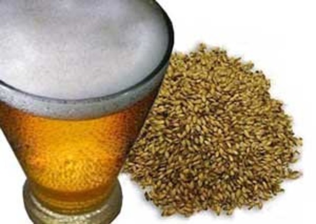 Elaboración de la cerveza