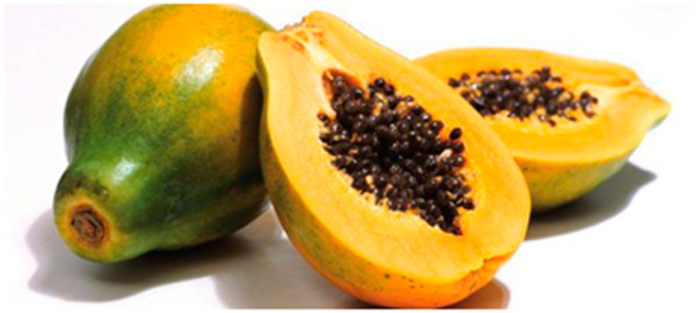 Cinco paises de Asia forman un consorcio para desarrollar papayas resistentes a enfermedades.