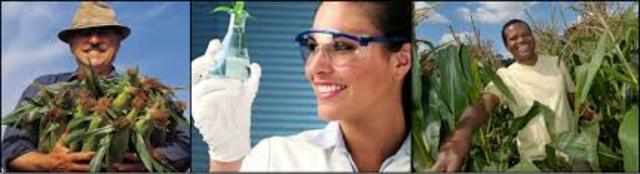 Brasil: supera a Argentina y se ubica en el puesto No. 2 de países que siembran cultivos GM con 21.4 millones de hectáreas.