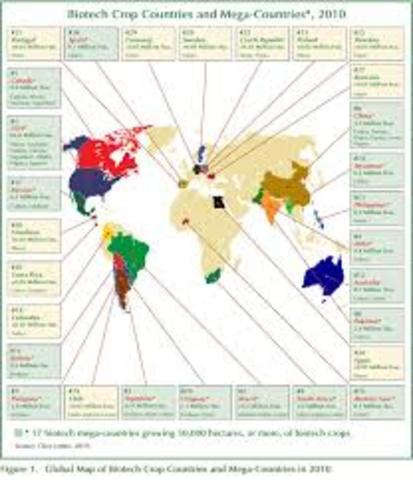 Se reporta una superficie de 148 millones de hectáreas sembradas con cultivos genéticamente modificados a nivel mundial.