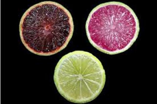 Estados Unidos: desarrollan limones morados con mayor contenido de antocianinas (University of Florida)