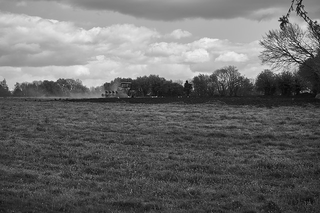 Producción agrícola